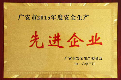 先進(jìn)企業(yè)